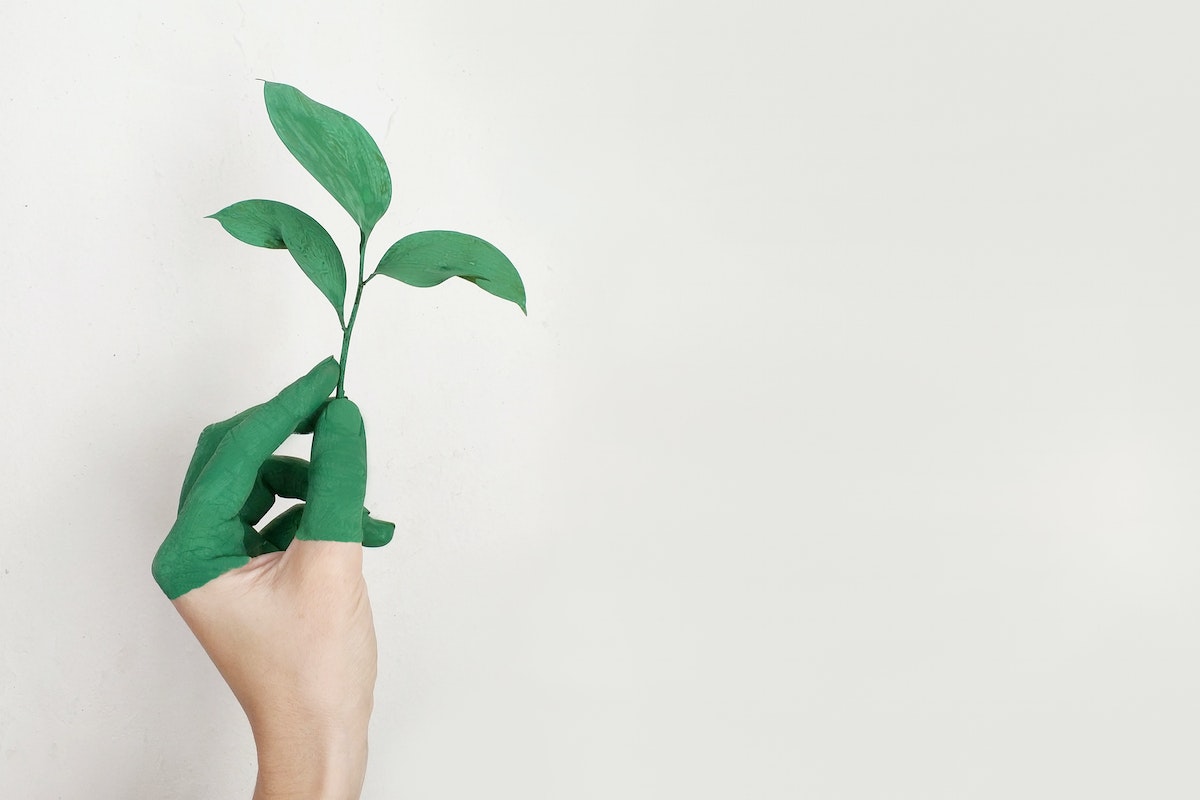 ¿Cómo hacer un emprendimiento sustentable?